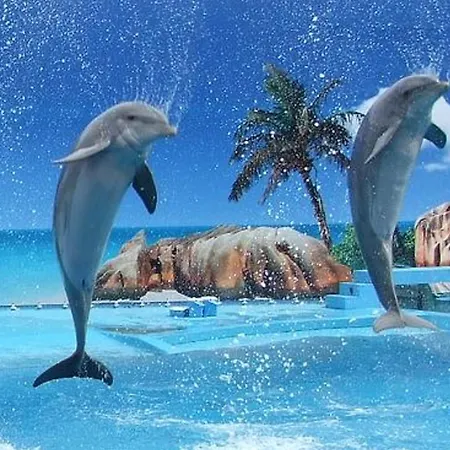 Apartment With 1 Bedroom D